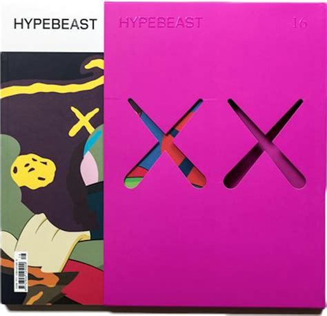 Kaws Hypebeast Issue 16 The Projection Re Release Magazine Pink Fw16