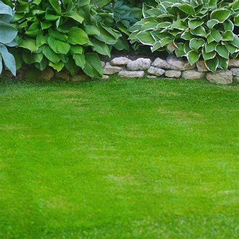 There are a number of youtube videos showing you how to dismantle it, it's not very complicated. How To Tell What Kind of Grass You Have • GreenView Fertilizer