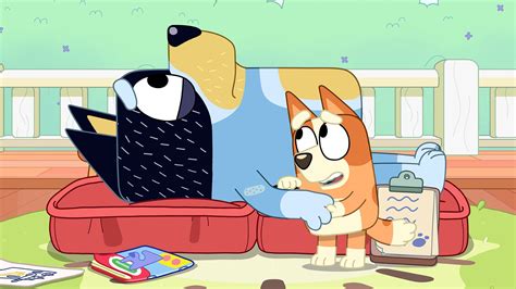 Bluey S1 Whats On Now Tv