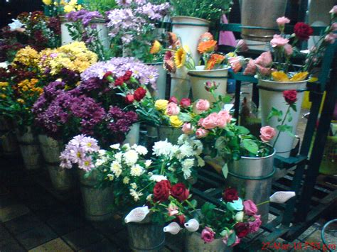 Check spelling or type a new query. nikuze-bride2b: fresh flowers