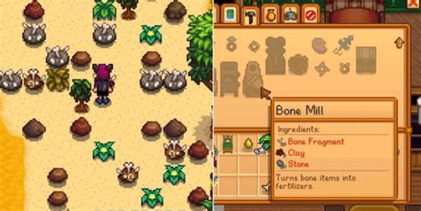 Stardew Valley Artifacts Guide Sdew Hq