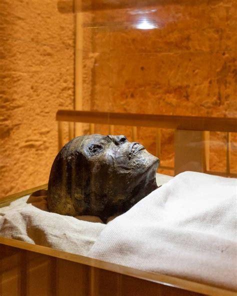 king tut s coffin has been removed from his tomb for the first time in history breaking