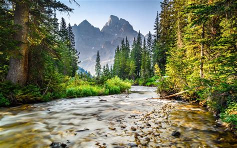 Download Wallpapers Mountain River Spring Green Trees Mountain