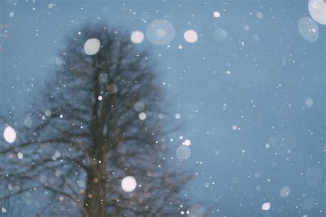 Snow Falling At Night Stocksy United