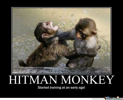 45 Very Funny Monkey Meme Images S Photos And Pictures Picsmine