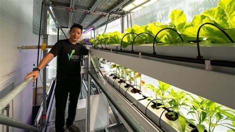 Ceo appointment and succession planning. Temasek Foundation - Vertical Greens: The Future Of ...