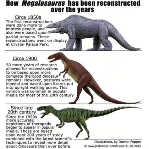 41 What Was The First Dinosaur Ever Discovered Tristonsalote