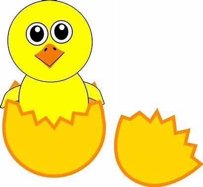 Clipart Chick Cartoon Coming Funny Clipartbest Newborn