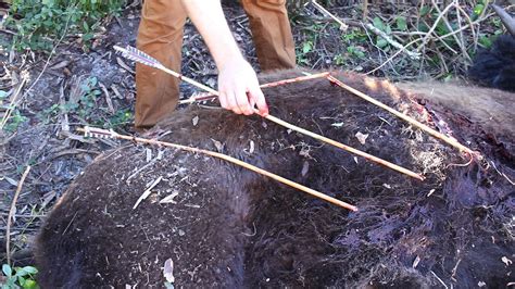 Bison Hunters Huntprimitive