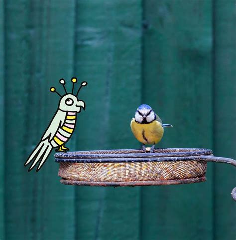Bekijk deze pin en meer op dieren in de tuin van natuurpunt. Grote vogelweekend Natuurpunt: 27 en 28 januari 2018 ...