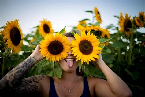 Guide 10 Of The Most Beautiful Sunflower Fields In Canada Curiocity