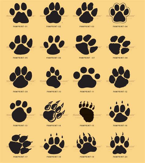 Step 2 draw two small ovals on the left side of the triangle. Cat Paw Print Drawing at GetDrawings | Free download