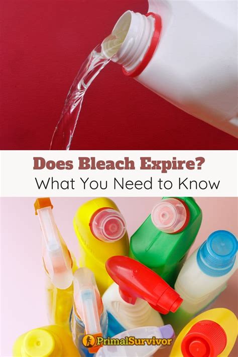 bleach alternatives  purifying water  sanitizing surfaces