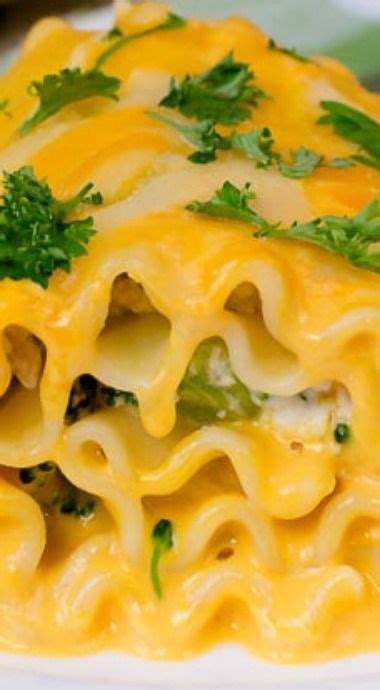 Cheddar Broccoli Lasagna Roll Ups Chicken Lasagna Rolls Recipes