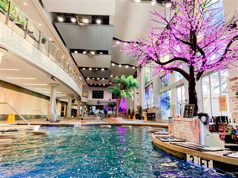 The Best Texas Pools in DFW According to an Influencer | Dallas Observer