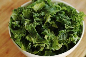 Is the question every owner has. Can Cats Eat Kale? | Pet Consider