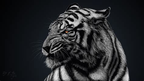 Black Tiger 07690 Baltana