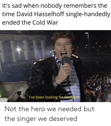 Its Sad When Nobody Remembers The Time David Hasselhoff Single