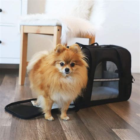 Paws And Pals Pet Carrier Airline Approved Soft Sided Dogs Cats Kitten