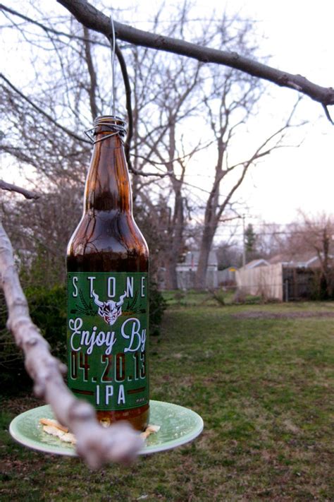 9 Unique Fun Diy Projects To Reuse Empty Beer Bottles