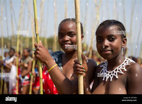 zulu jungfrauen liefern schilf stöcke an den könig zulu reed dance im enyokeni palace nongoma