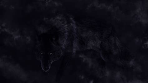 Black Wolf Background