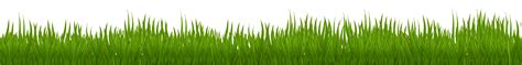 Grass Vector Png Grass Vector Png Transparent Free For Download On