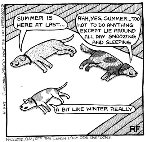 A Comic Strip With Three Dogs And One Is Saying Summer Is Here At Last