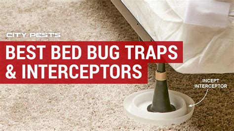 Best Bed Bug Traps And Interceptor Reviews 2023