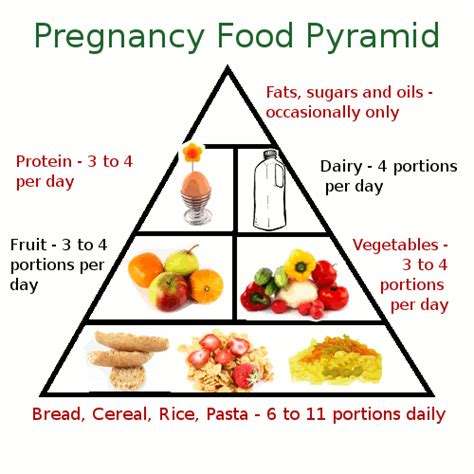 Healthy Foods To Eat During Pregnancy How You Living