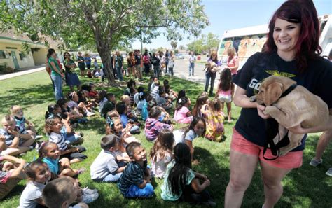 Thousands of products · new items added each week Guide dog raising program hits Lemoore | Local ...