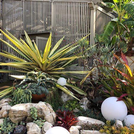 Sherman Library & Gardens (Corona del Mar) - 2019 All You Need to Know