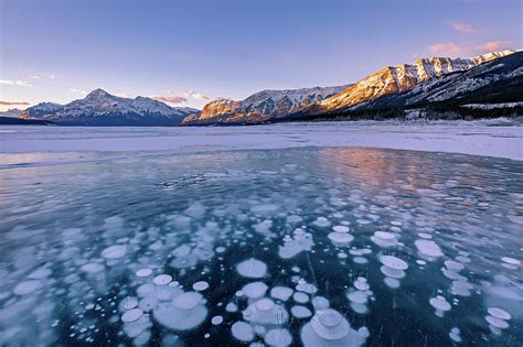 Ice Bubbles At Abraham Lake Photograph By Jack Bell Pixels