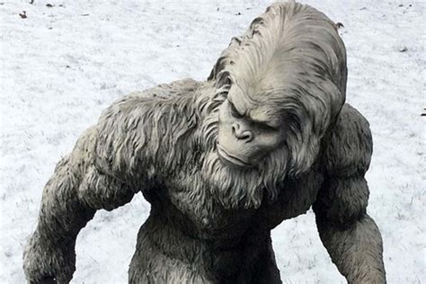 It Appears That The Yeti Mystery Has Finally Been Solved