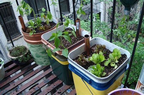 15 Diy Self Watering Planters That Make Container Gardening Easy Rencana