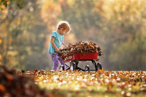 7 Fall Activities For Bay Area Children And Parents