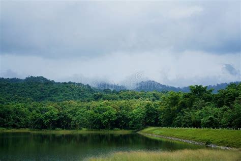 Beautiful Scenery Of Cloud And Foggy Overcast Greenery Rain Forest