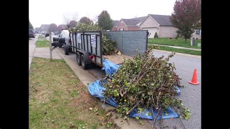 Best Yard Waste Removal Services And Cost In Las Vegas Nv Las Vegas