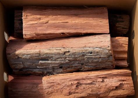 Ironbark Firewood For Sale In Melbourne Wood Co