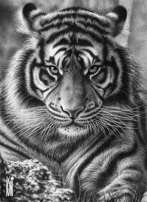 Dont Bother Me By Toniart On Deviantart Tiger Face Tattoo Tiger