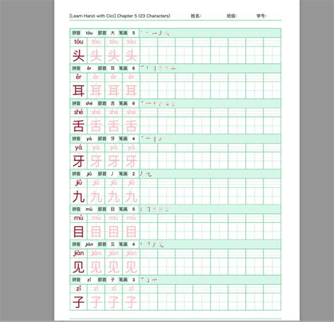 Chinese Character Practice Sheet Ch5 With Pinyin Radicals And Stroke