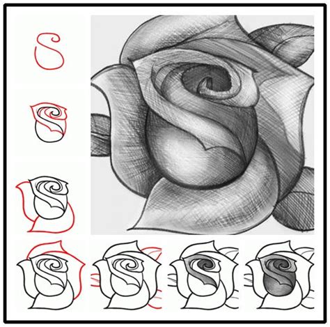 How do you draw a real heart? How to Draw a Rose from a Heart