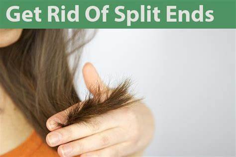 What Are Split Ends? 25 Ways To Repair And Prevent Them

