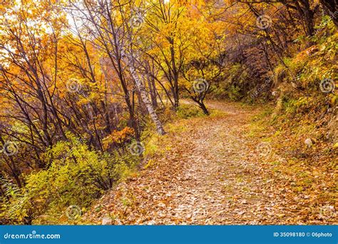 Autumn Pathway Stock Photo Image Of Fall Landscape 35098180