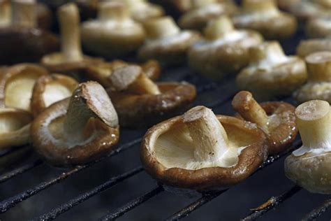 Comment faire des champignons à la plancha Recettes délicieuses