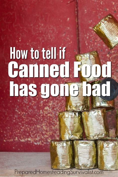 How To Tell Is Canned Food Has Gone Bad With The Huge Debate About