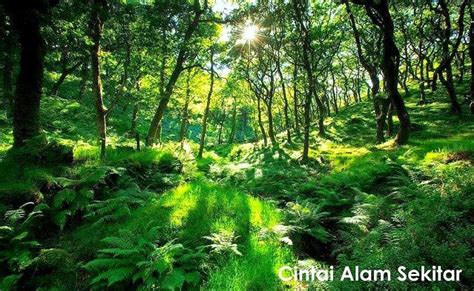 Gambar tentang alam sekitar kekinian download now image result for c. Gambar Cinta Idolaku Alam Sekitar Pencipta Menyemai Gambar ...