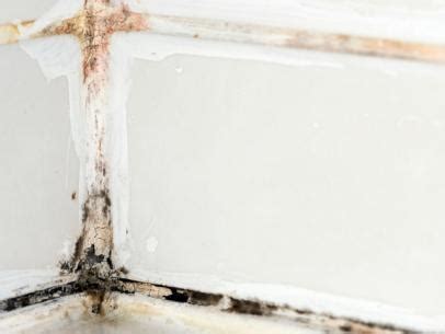How To Clean Mold Off Walls Before Painting Change Comin