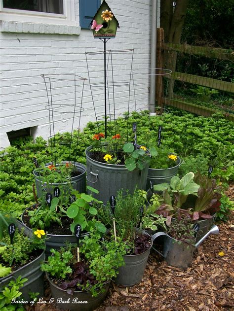 Galvanized Garden ~ Repurposed Container Planting Our Fairfield Home