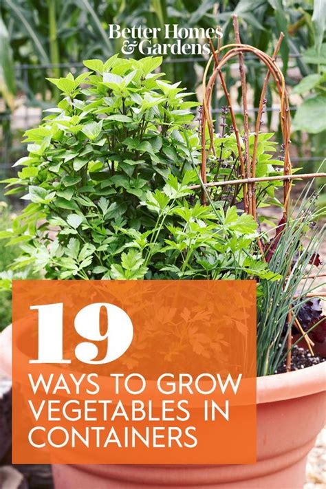 19 Vegetable Container Garden Ideas That Show Off Your Yield Growing